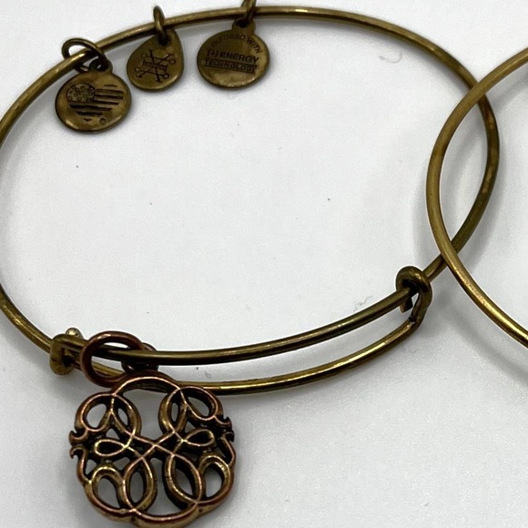 Alex & Ani Path of Life Charm Bangle Bracelet - Picture 4 of 4